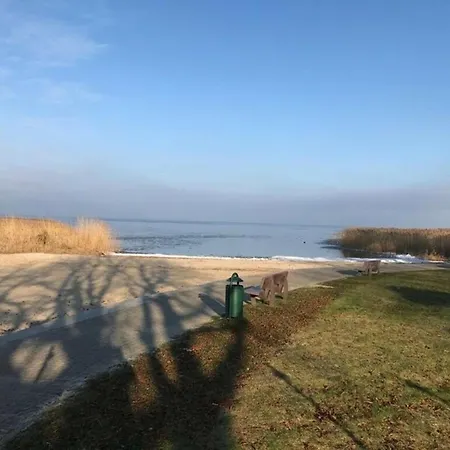 Ferien-bungalow Im Seebad Ueckermuendeot Bellin * Ueckermünde